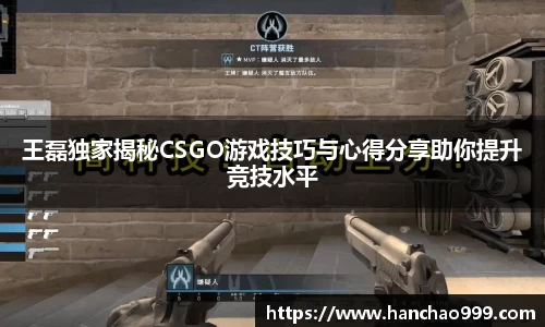 王磊独家揭秘CSGO游戏技巧与心得分享助你提升竞技水平