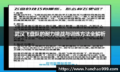 武汉飞盘队的耐力挑战与训练方法全解析