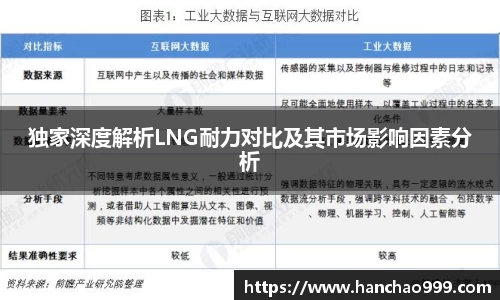 独家深度解析LNG耐力对比及其市场影响因素分析