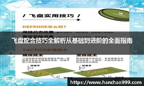 飞盘配合技巧全解析从基础到进阶的全面指南