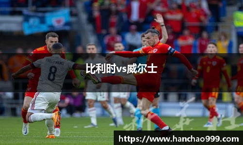 比利时vs威尔士