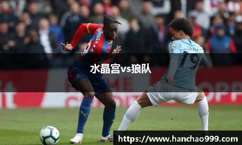 水晶宫vs狼队