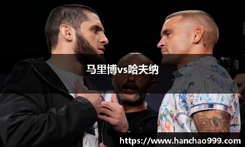 马里博vs哈夫纳