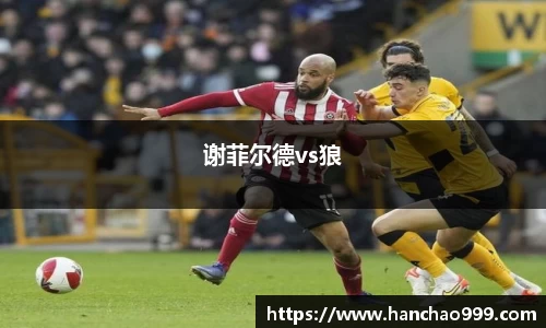 谢菲尔德vs狼