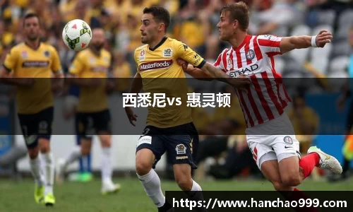西悉尼vs 惠灵顿