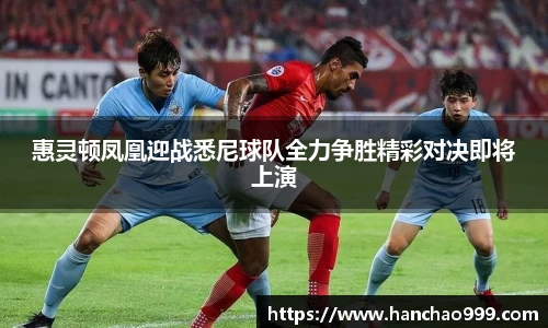 惠灵顿凤凰迎战悉尼球队全力争胜精彩对决即将上演