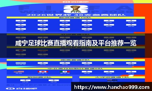 咸宁足球比赛直播观看指南及平台推荐一览